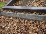 image of grave number 199256